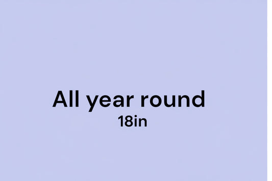 All year around 18in